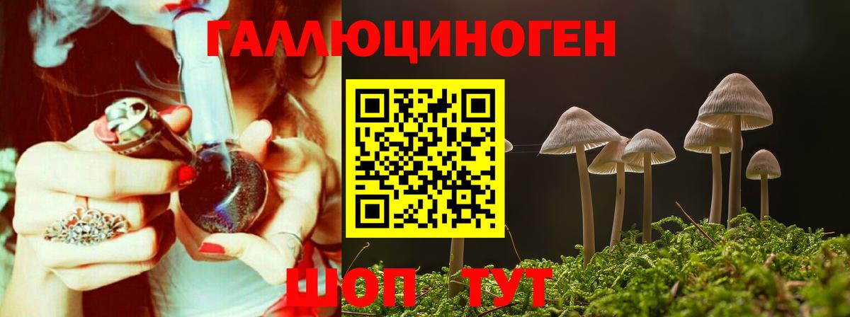 Псилоцибиновые грибы GOLDEN TEACHER  Вход с VPN  Кохма 